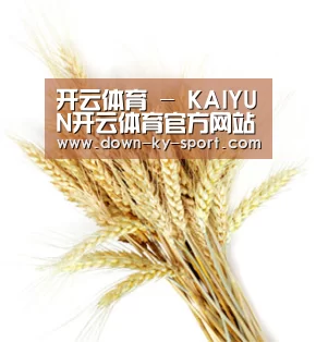 开云体育 - KAIYUN开云体育官方网站 - KAIYUN SPORTS