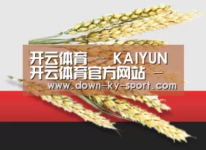 开云体育 - KAIYUN开云体育官方网站 - KAIYUN SPORTS